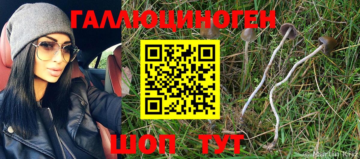 Псилоцибиновые грибы GOLDEN TEACHER Мичуринск