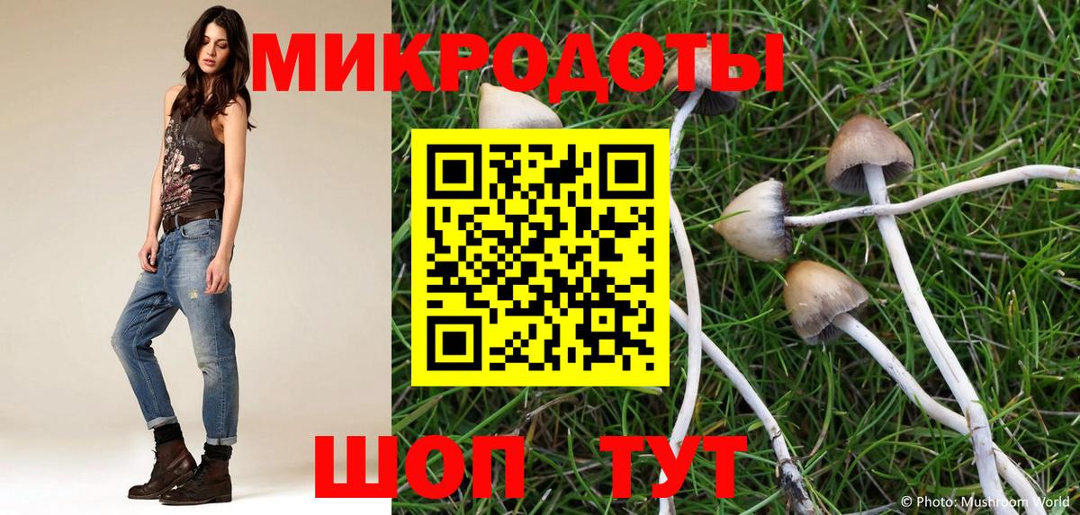 Галлюциногенные грибы Psilocybe  Псилоцибиновые грибы мицелий  Вход с VPN  Мичуринск 