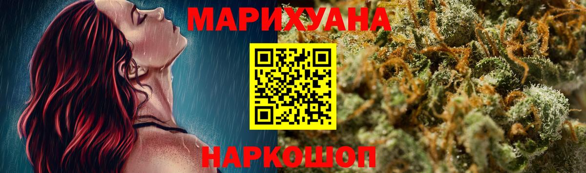 Конопля сатива Мичуринск